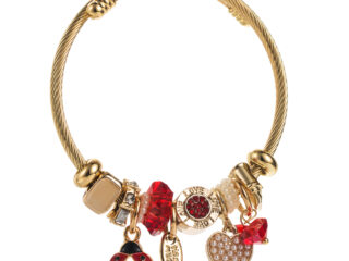 Γυναικείο Βραχιόλι Red Ladybug από Ανοξείδωτο Ατσάλι με Charms