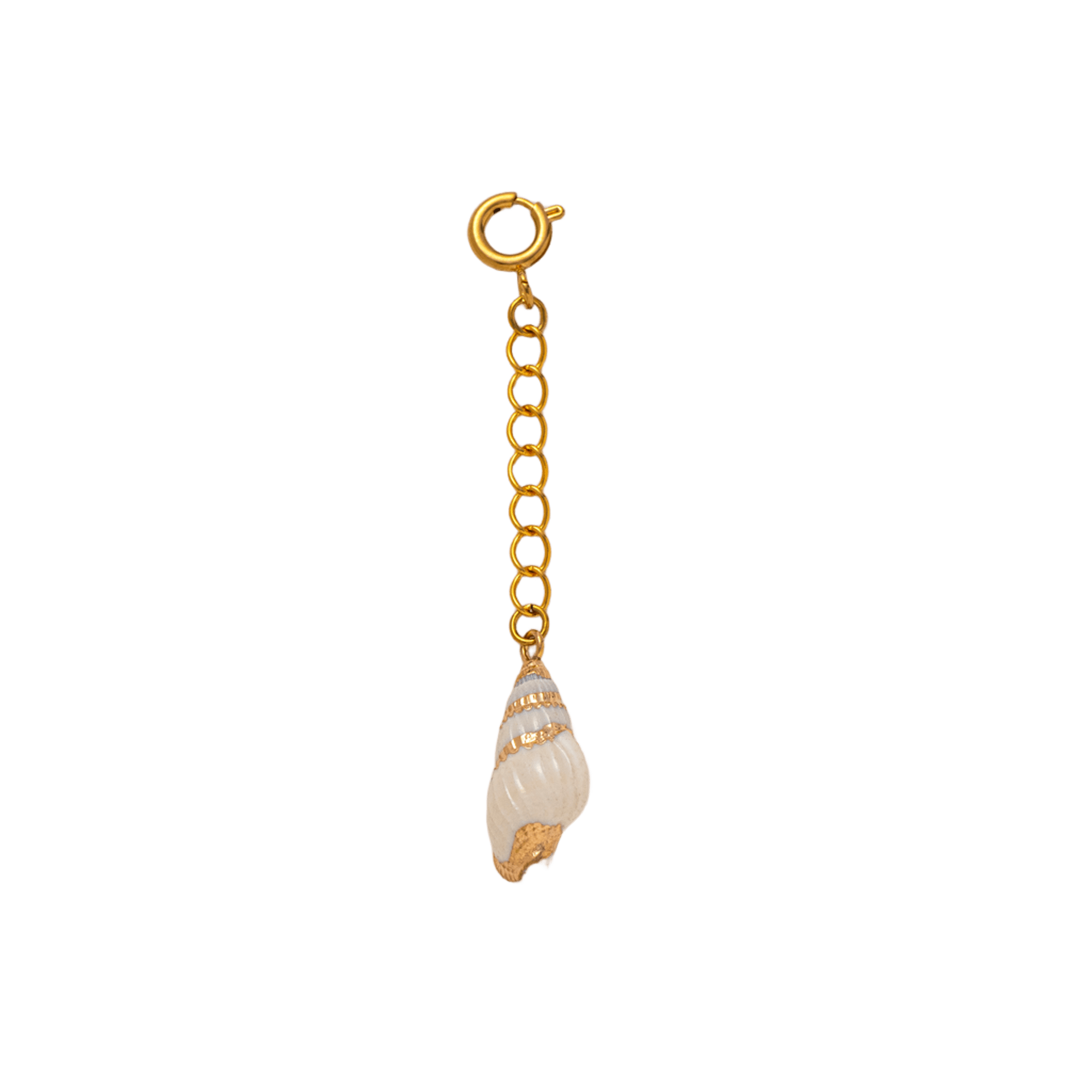 Διακοσμητικά για Μαγιό - Bikini Charms από Ανοξείδωτο Ατσάλι Seashell Διακοσμητικά για Μαγιό - Bikini Charms από Ανοξείδωτο Ατσάλι Seashell